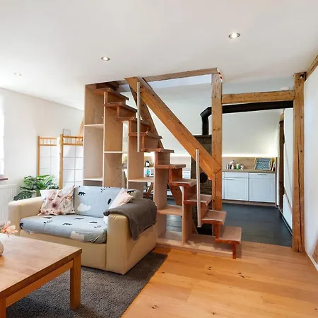 Haus Loewen Apartment Forbach Exterior photo