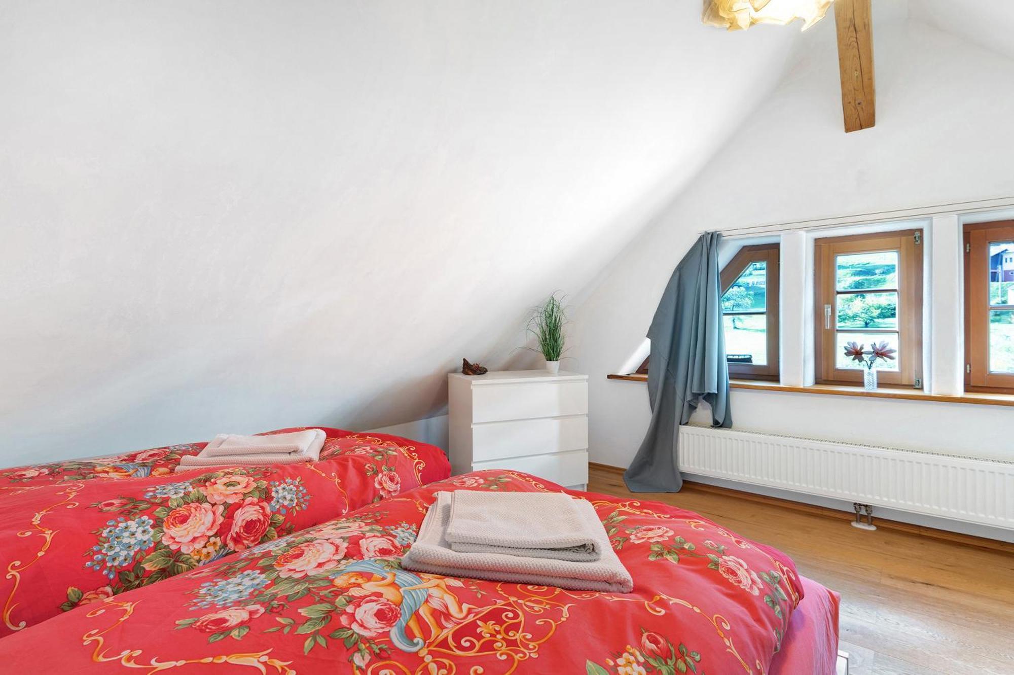 Haus Loewen Apartment